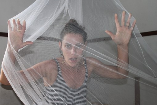 Chocolate Brownie McIlwaine